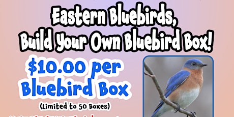 Wild Wednesday - Bluebird Boxes