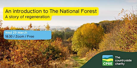 An introduction to The National Forest | a story of regeneration