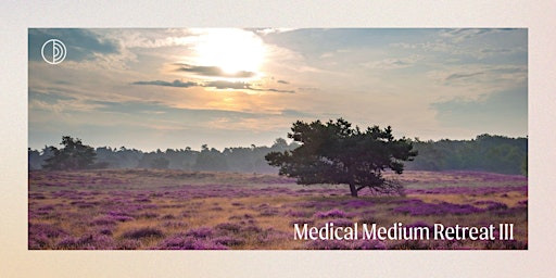 Medical Medium Retreat III @ Hilversum - 21 tot 23 juli 2023  primärbild