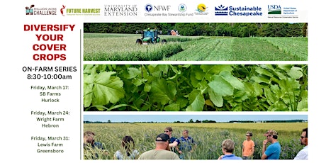 Diversity Your Cover Crops: On-Farm Series primary image