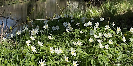 Hauptbild für Lohmener Klamm  am Karfreitag (Tour offen für alle)