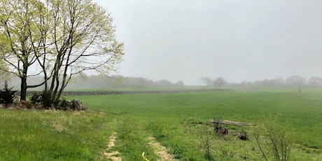 Historic Cemetery Picnic: Winnapaug Farm Preserve