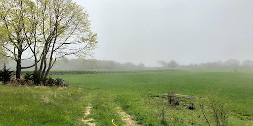 Imagem principal do evento Historic Cemetery Picnic: Winnapaug Farm Preserve