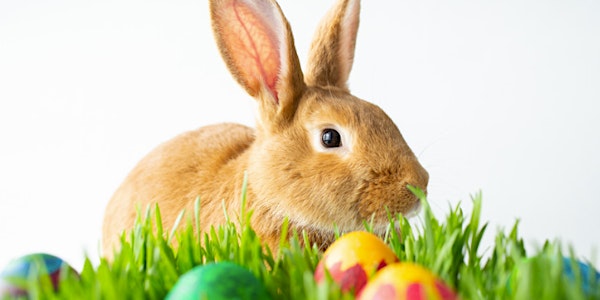 Photos with the Easter Bunny & Petting Zoo