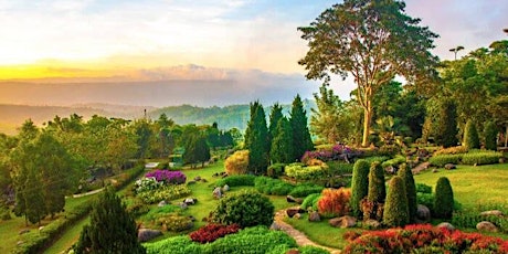 Art of Gardens around the World