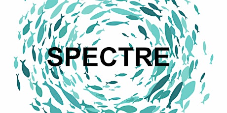 SPECTRE 10 AM UTC-4: Plankton size-spectrum models: present & future steps