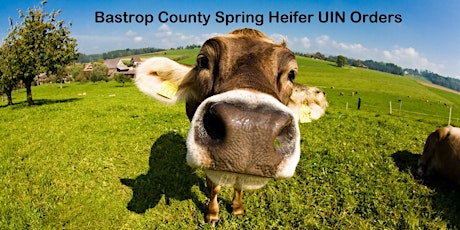 2023-2024 Bastrop County Spring Heifer Validation Tag Orders