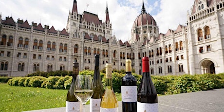 Austro-Hungarian wines tasting