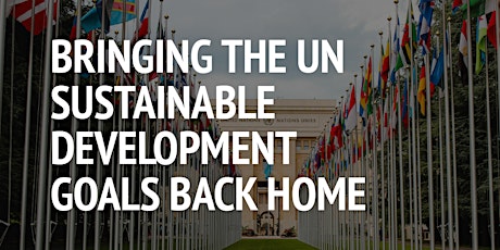 Bringing the UN Sustainable Development Goals Back Home: Where do you fit?