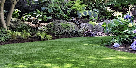 Healthy Lawn Care, by Dr. Eric Lyons - Virtual event