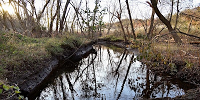 Richmond+Creek+and+Brookfield+Park+Walking+To