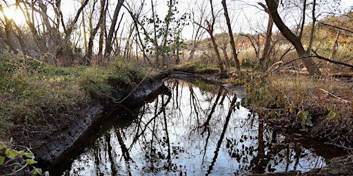 Richmond Creek and Brookfield Park Walking Tour primary image