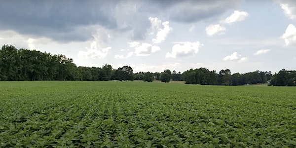 Science for Success: Nitrogen Fixation in Soybeans