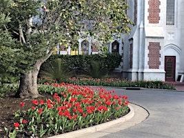 FREE - Tulip Exhibition at Mountain View Cemetery in Oakland