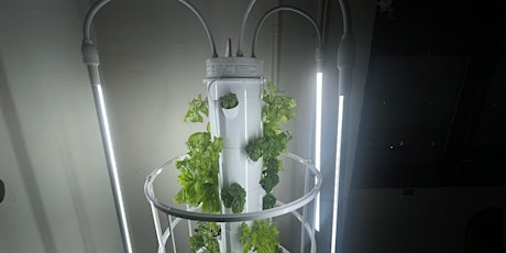 Virtual Workshop: Get the Most Out of Your Tower Garden primary image