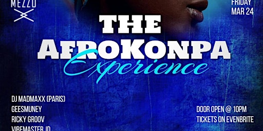 THE AFROKONPA EXPERIENCE