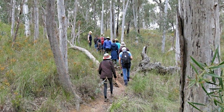 Come and Try ParkCare with Friends of Aranda Bushland