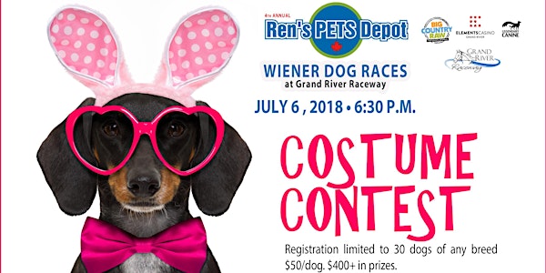 2018 All Breeds Dog Costume Contest