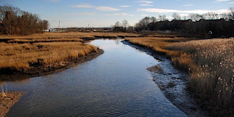 Prince's Bay and Lemon Creek Walking Tour primary image