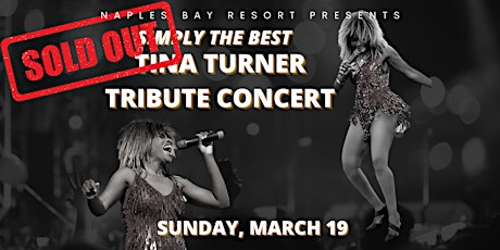 Simply The Best - Tina Turner Tribute primary image