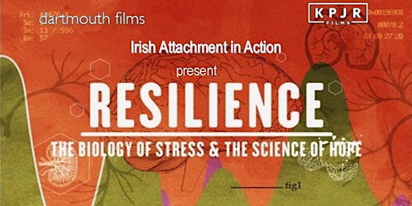 Resilience, Galway