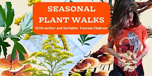 Seasonal Plant Walks