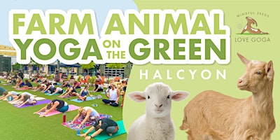 Imagem principal do evento Farm Animal Yoga on the Green at Halcyon