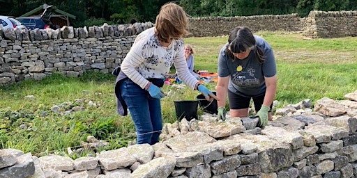 Brightside - Dry Stone Walling primary image
