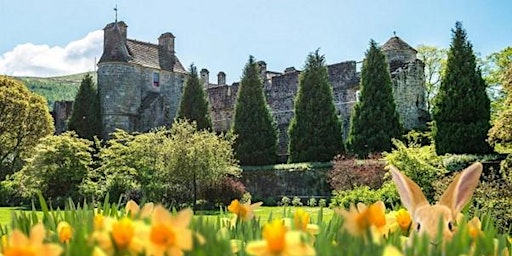 Easter egg trail at Falkland Palace & Garden