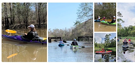 Historical Scenic Bayou Water Trail Kayak Tour