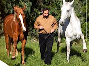 Advancing Horsemanship with 5* Master Parelli Professional, David Lichman primary image