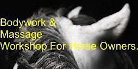 Massage and Bodywork for Horse Owners primary image