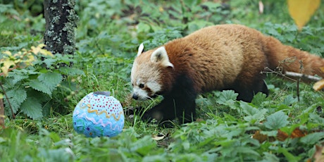 Easter Weekend Lunches at Edinburgh Zoo