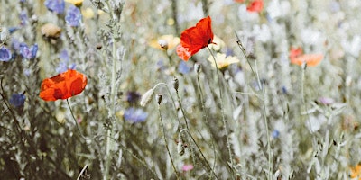 Hauptbild für Native Plants & Pollinator Gardens