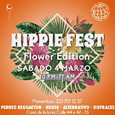 Imagen principal de Hippie fest by MIEO Colombia