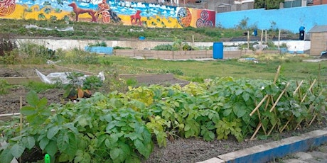 North East Central Community Garden - Street Feast BBQ 2018 primary image