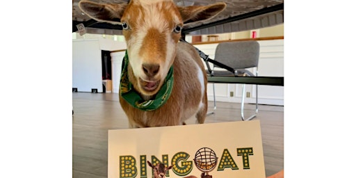 BINGOAT: Bingo + Goats