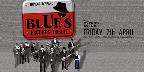 Blues Brothers tribute (10 piece band)