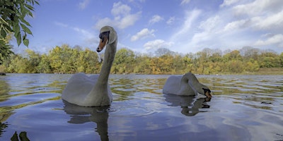 Immagine principale di Springtime Walk Around the Leg o' Mutton Local Nature Reserve 