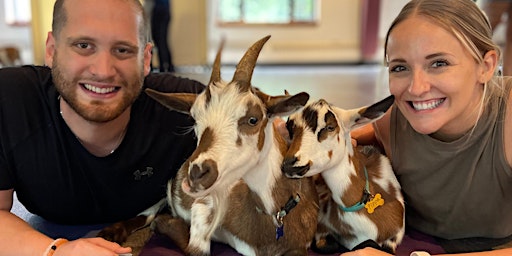 Goat Yoga  in Arlington