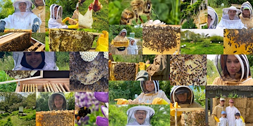 One Day Beekeeping Workshop  primärbild