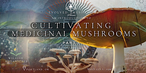 An Introduction to Medicinal Mushroom Cultivation: Part 1