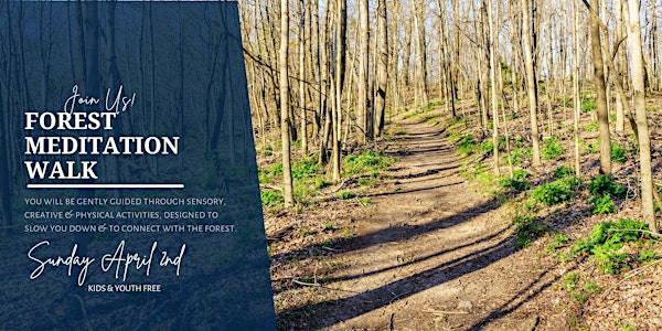 Forest Walk & Meditation