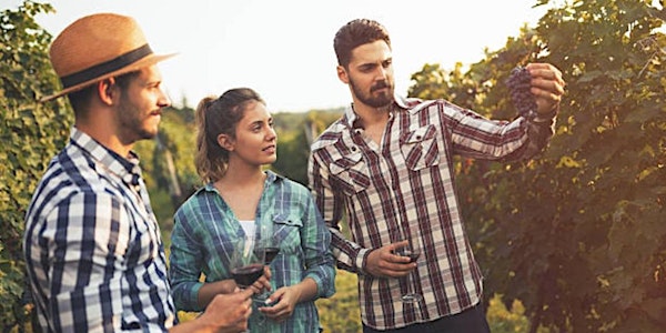 Tour Enogastronomico nel Monferrato | Vino, Merenda Sinoira e Visita Guidat...