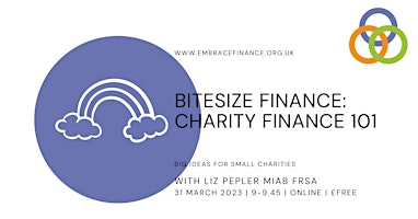 Bitesize Finance | Charity Finance 101 for New Trustees,  CEOs and Finance