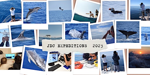 Immagine principale di JONIAN DOLPHIN CONSERVATION EXPEDITIONS 2023 