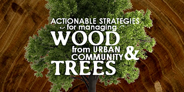 Actionable Strategies for Managing Wood from Urban & Community Trees