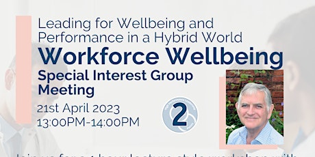 IHSCM Workforce Wellbeing Special Interest Group Meeting