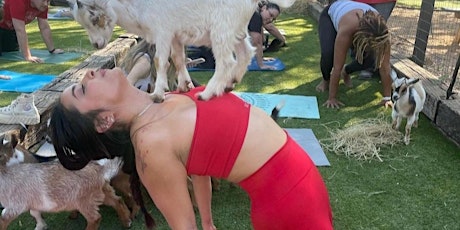 Goat Yoga Houston at Pacific Yard House Conroe- Saturday, April 8th- 9:30am
