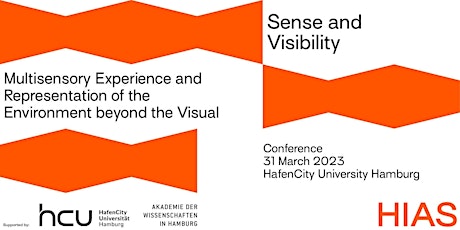 Sense and Visibility. Multisensory Experience beyond the visual.
